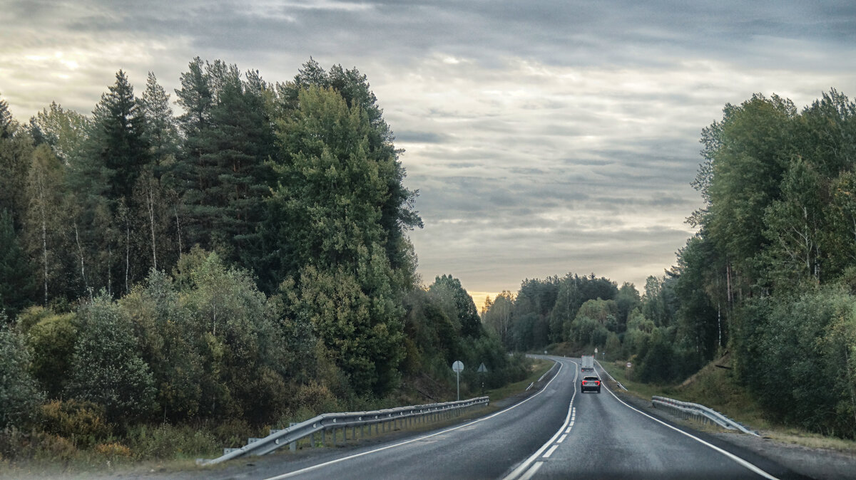 дорога..... - Ольга Cоломатина