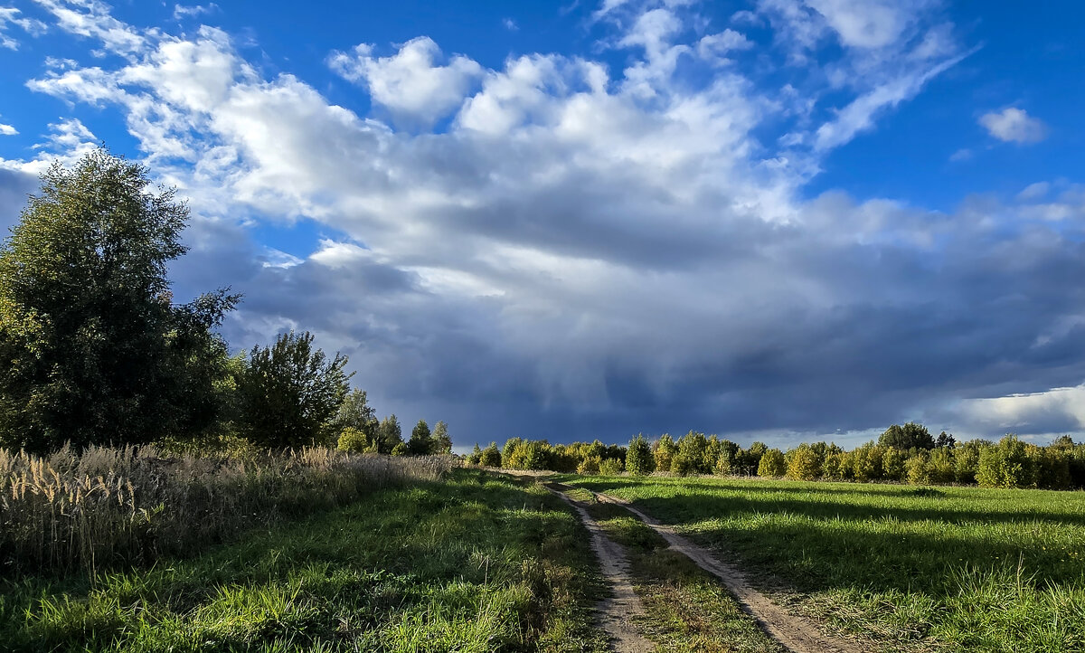 Осенний вечер - Oleg S Осенний вечер - Oleg S