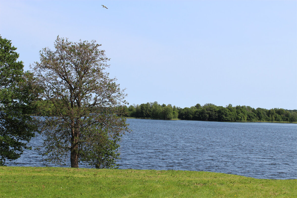 Вид на Онежское озеро - Любовь ***