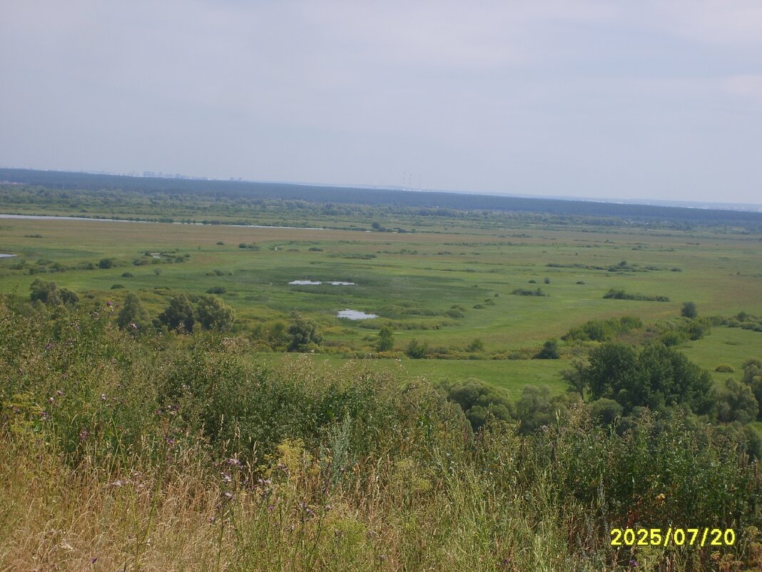 без названия - fogmeadowww m