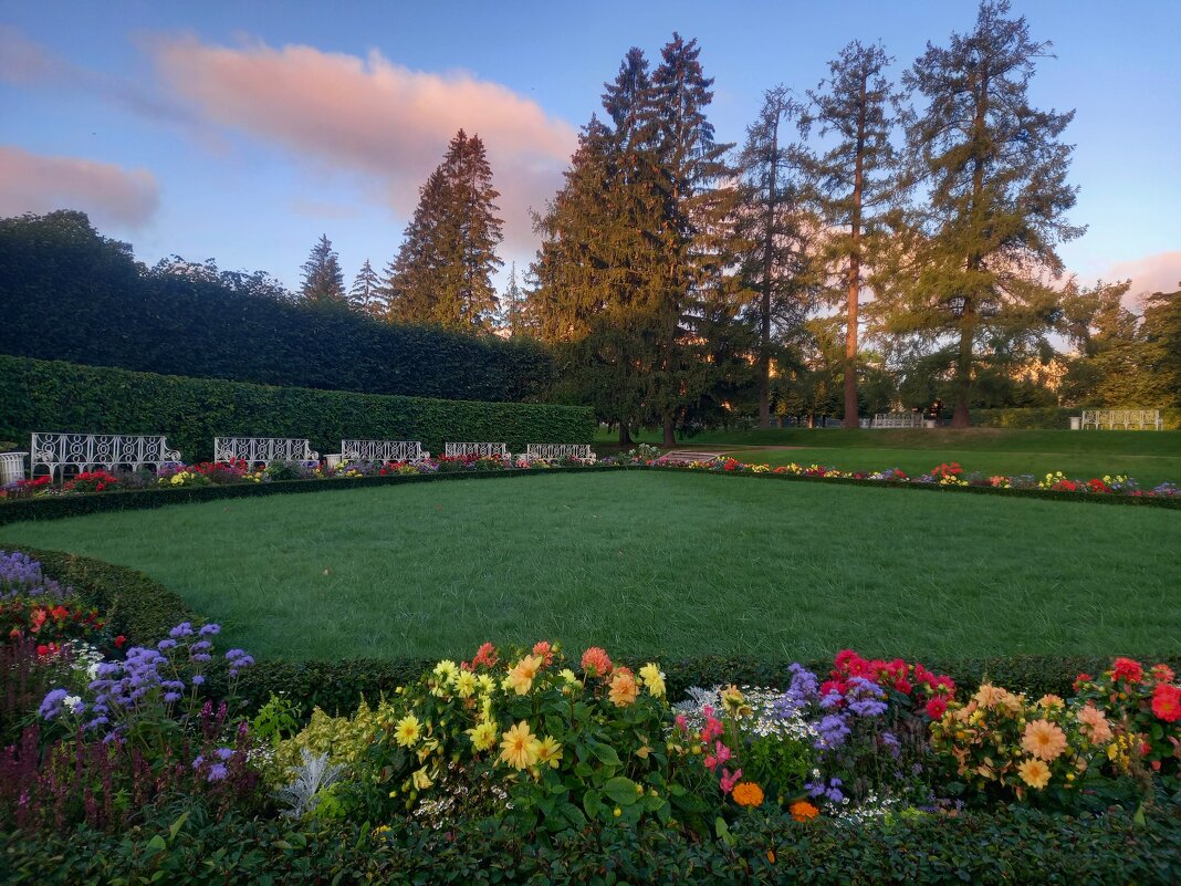 Рассвет - Сапсан 