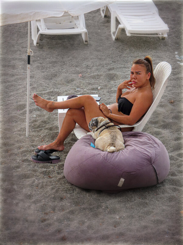 Дама с собачкой - AZ east3