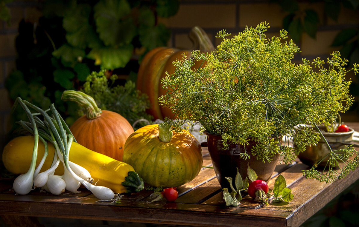 Из августа - Bosanat 