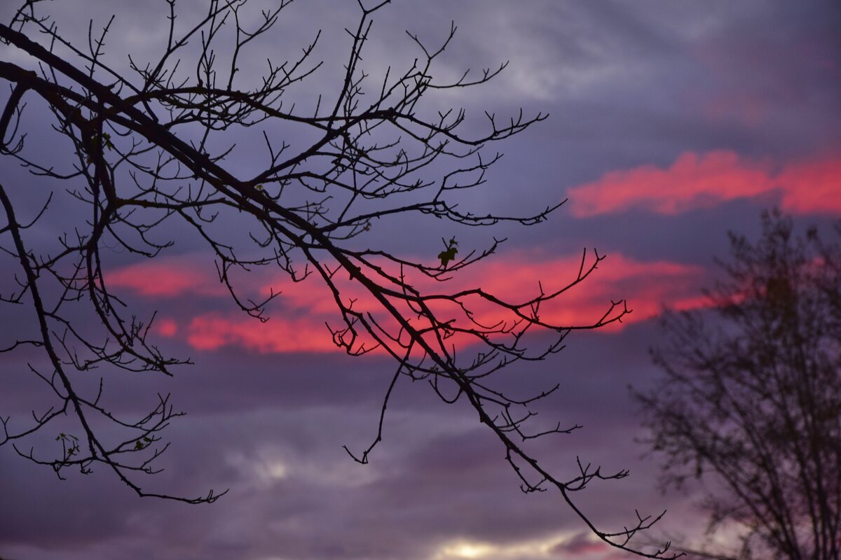 Розовый закат - Мария Яковлева