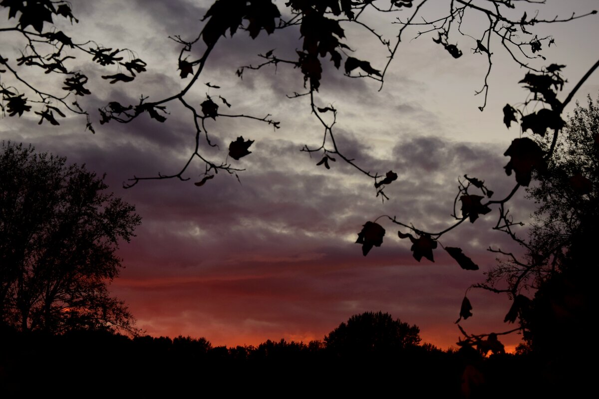 Закат - Мария Яковлева