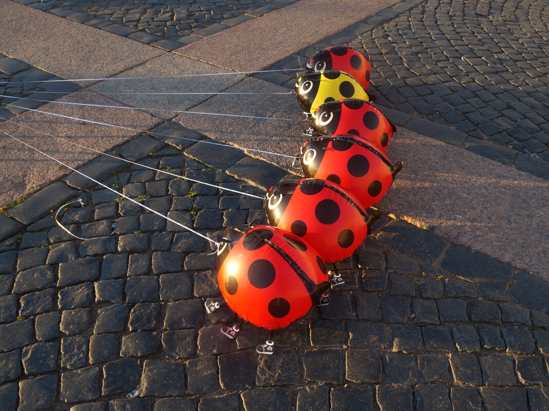 божьи коровки - zavitok *