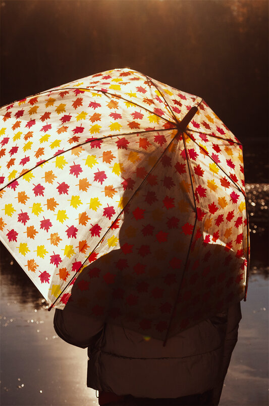 Прятки с осенью - Светлана Никитина