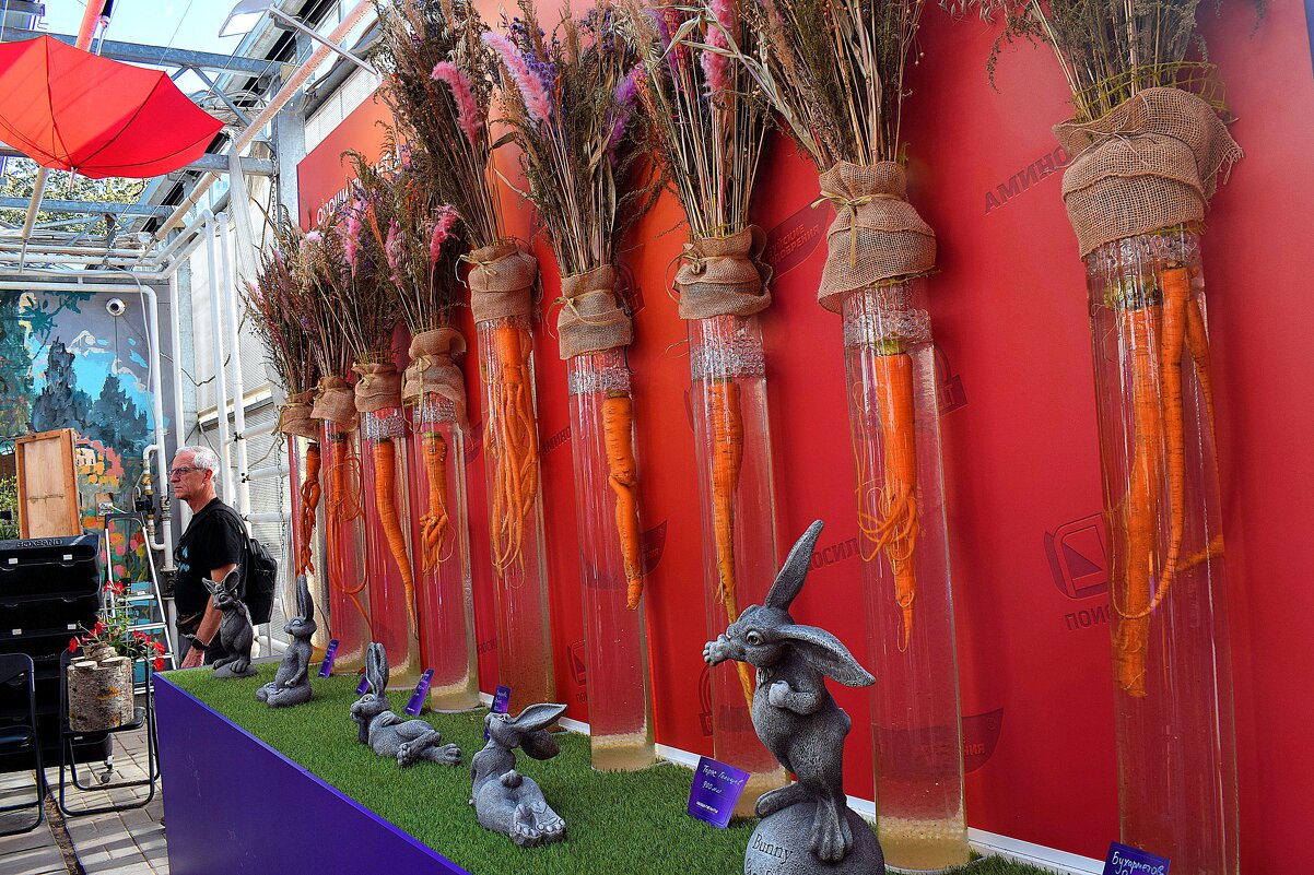 На стенде морковка. - Татьяна Помогалова