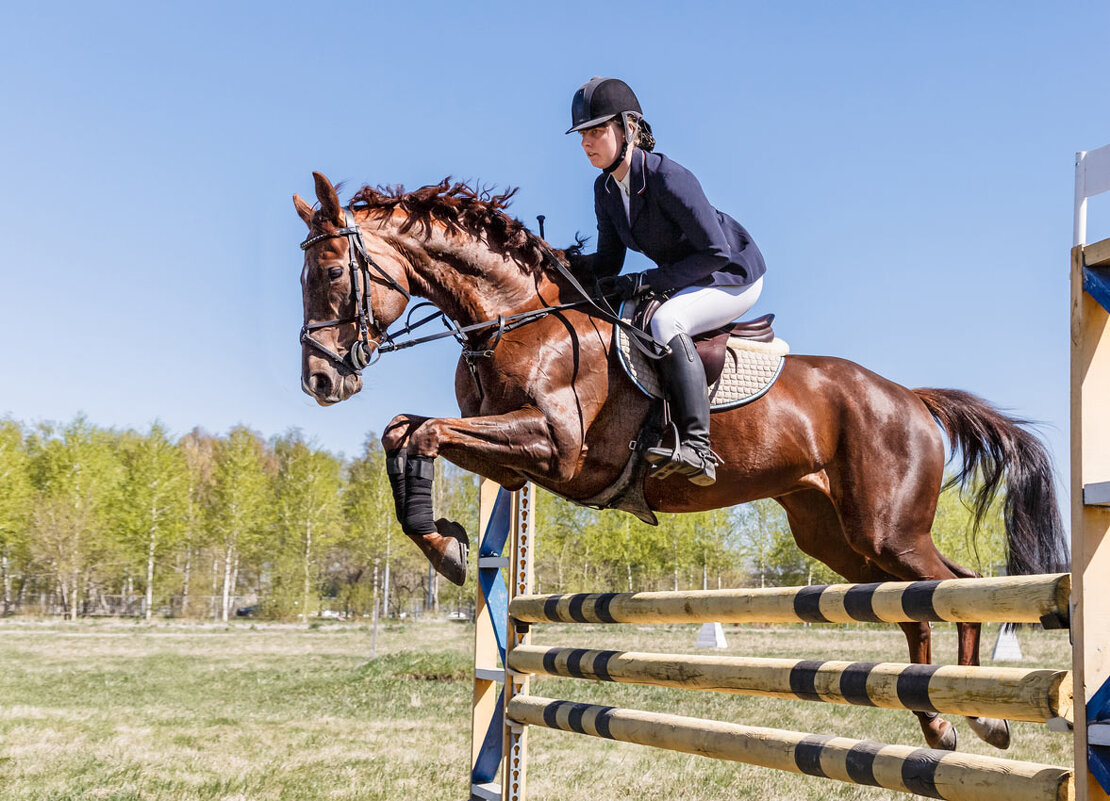 Конкур - SanSan 