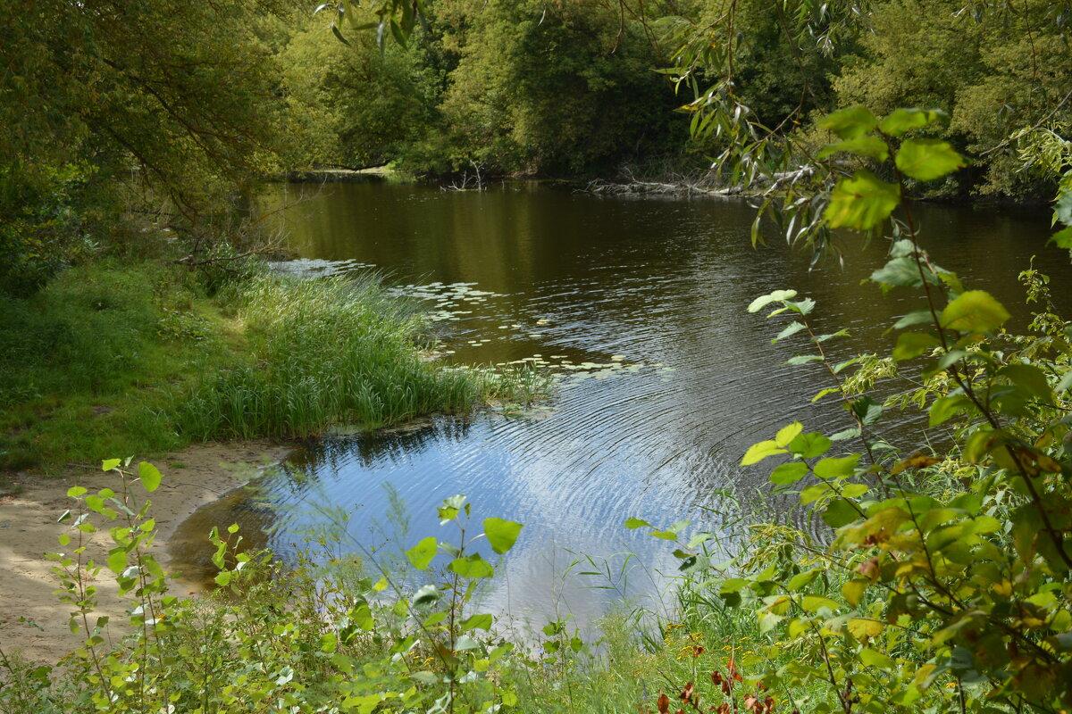 Тишина - Леонид Иванчук