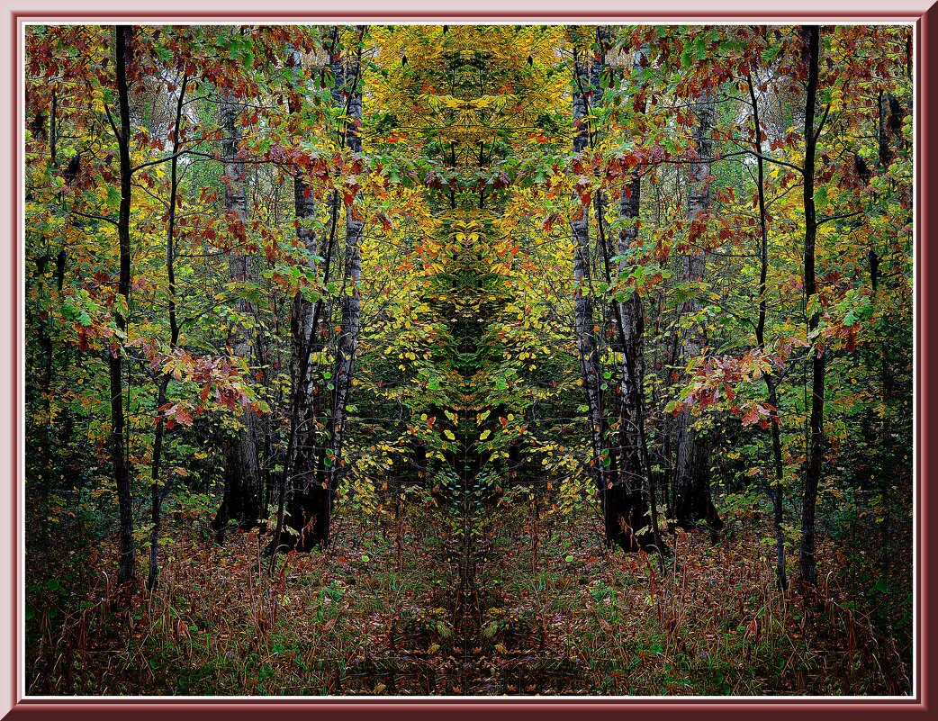 Краски осени - Владимир Кроливец