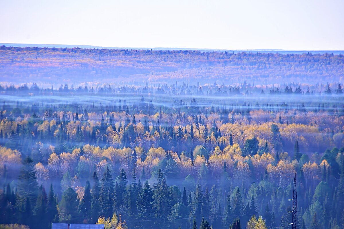 - - Владимир Мигонькин