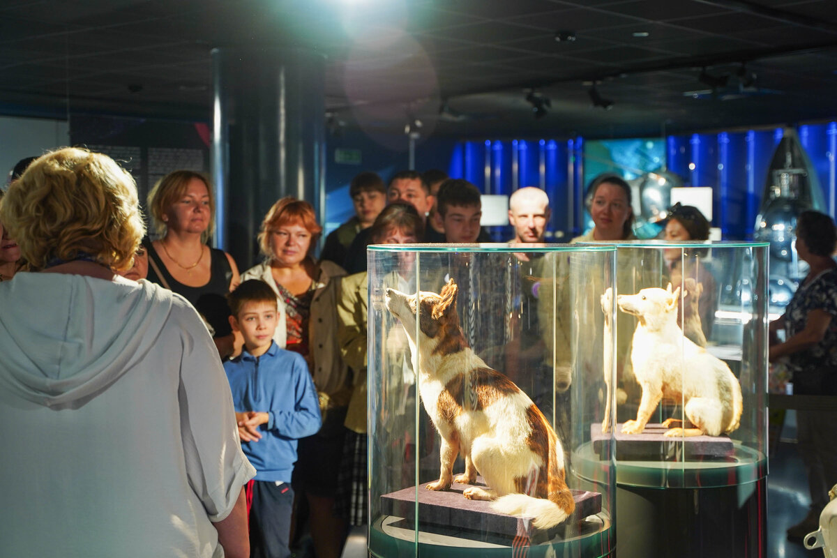 БРАТЬЯ_НАШИ_ - Сергей Янович Микк БРАТЬЯ_НАШИ_ - Сергей Янович Микк