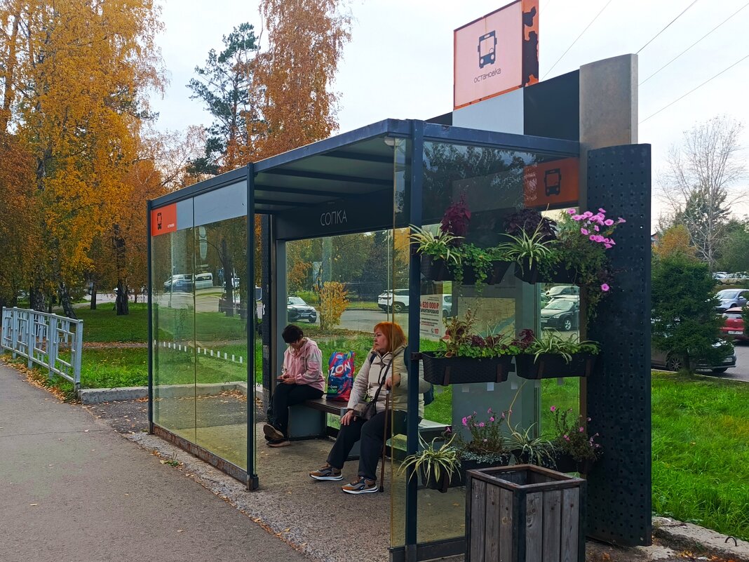 В ожидание автобуса.. - Василий 