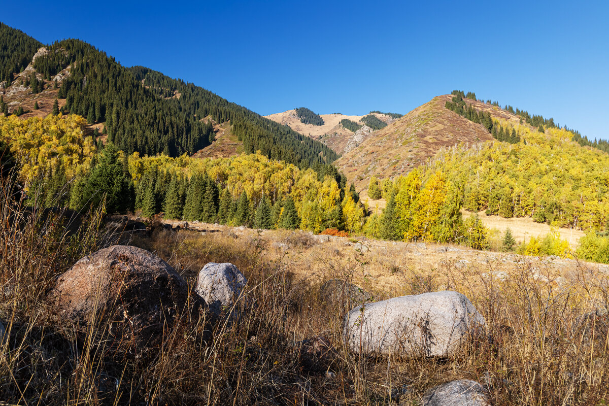 Шаги сентября - Алексей Большаков