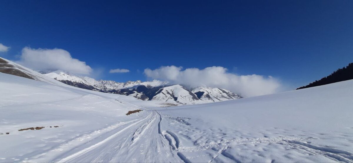 В горы... - Ирина С