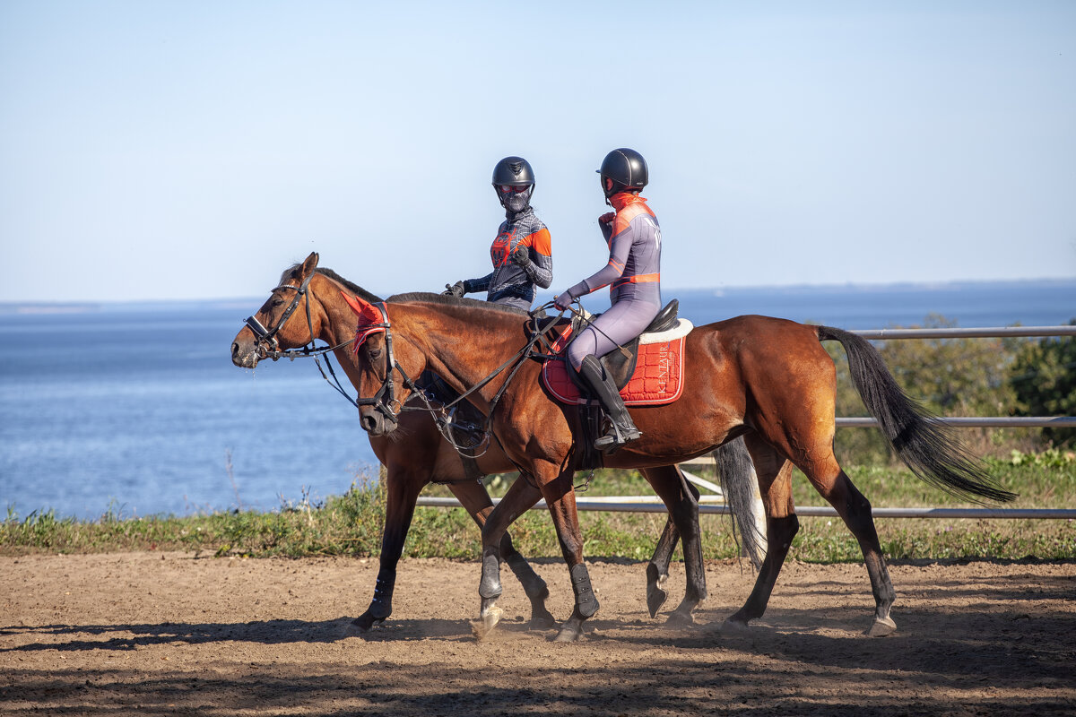 * - Александр Лисовский