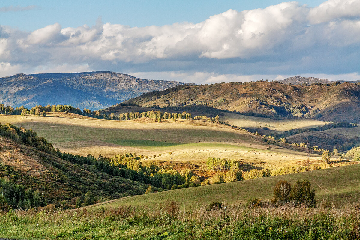 Риддер - Дмитрий Риддер - Дмитрий