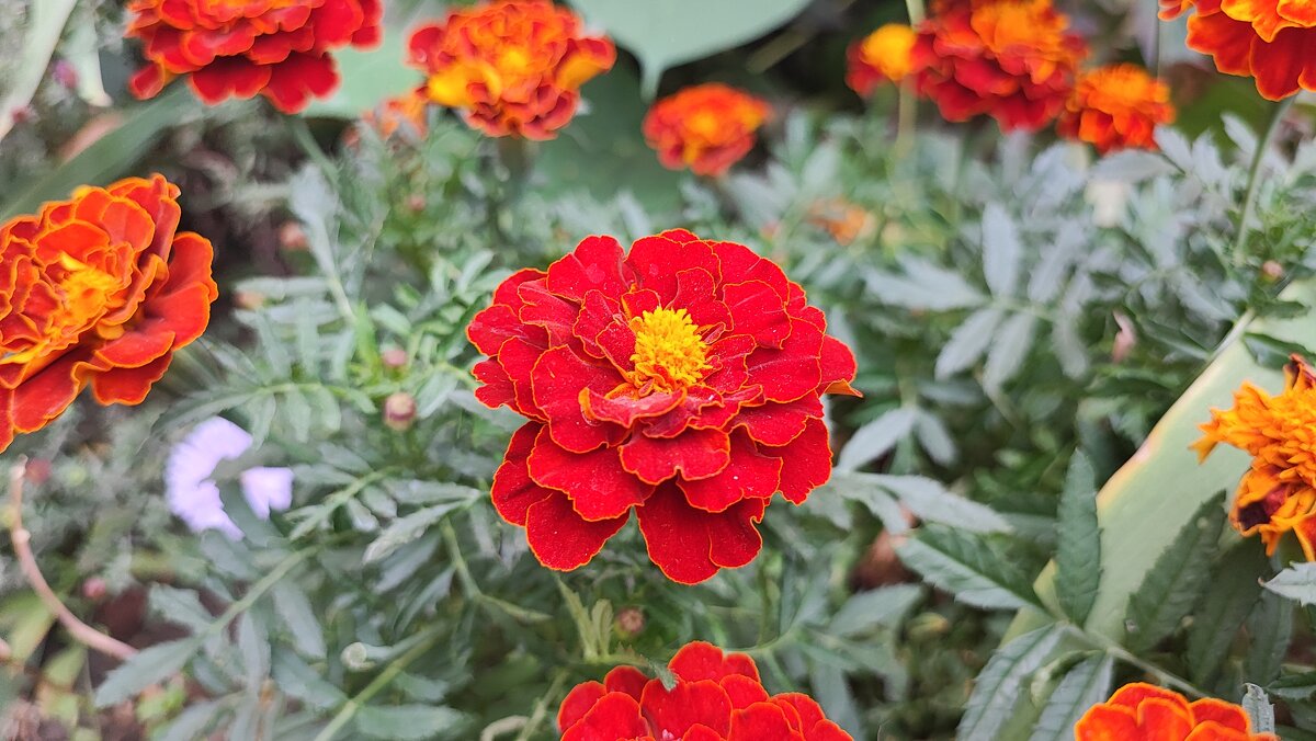 ,,, - Сергей Тимоновский