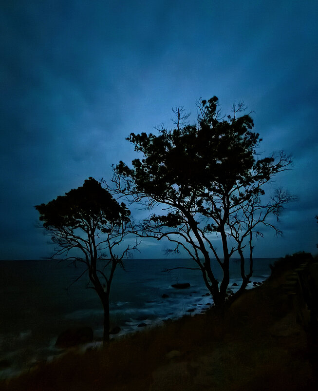 Ночные силуэты - Oleg S Ночные силуэты - Oleg S