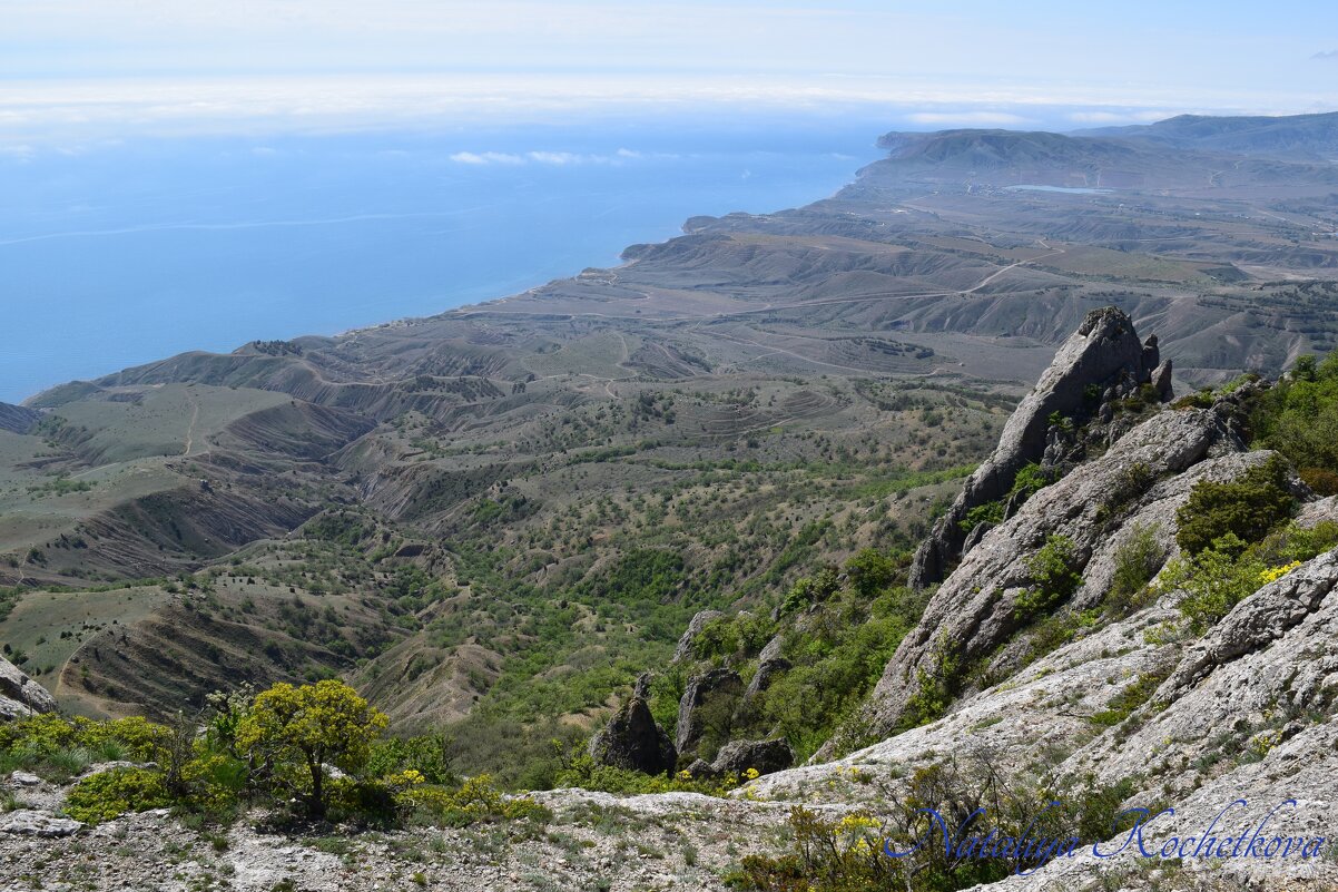 Природа Крыма - Amazing Cosmea