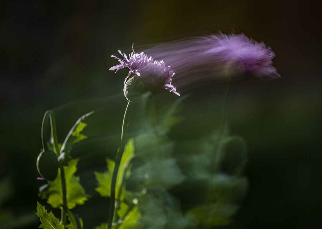 Движение - Николай Галкин 