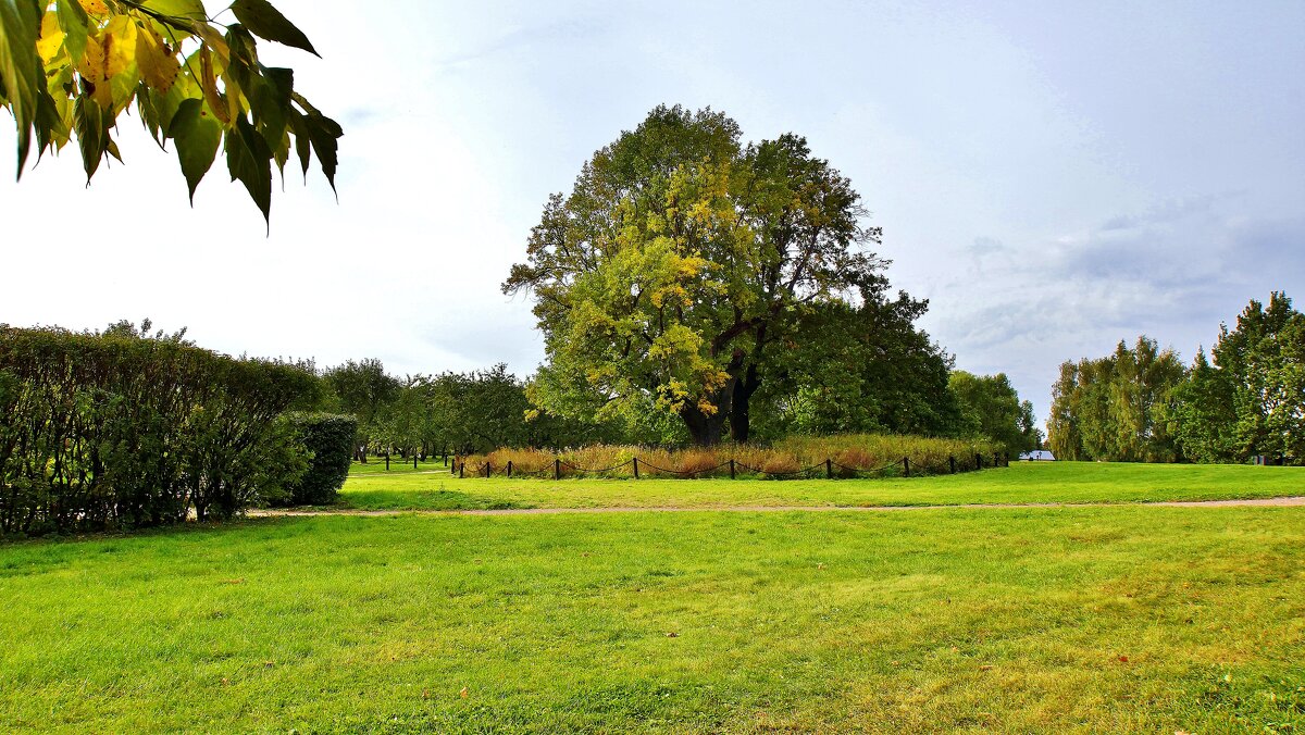 КОЛОМЕНСКОЕ - АЛЕКСАНДР 