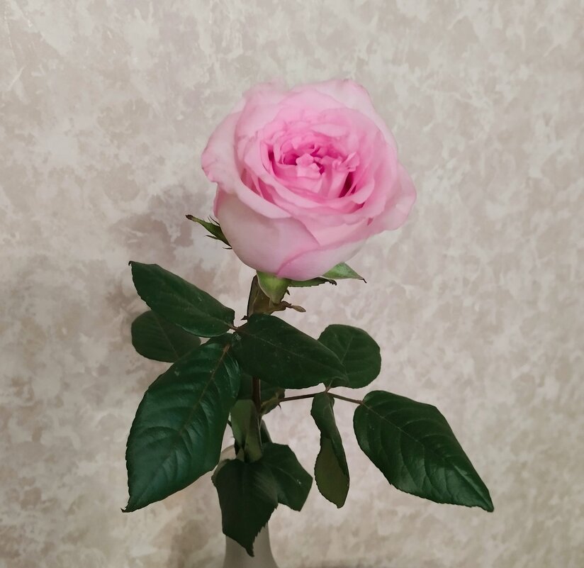 Триптих - Галина Бобкина