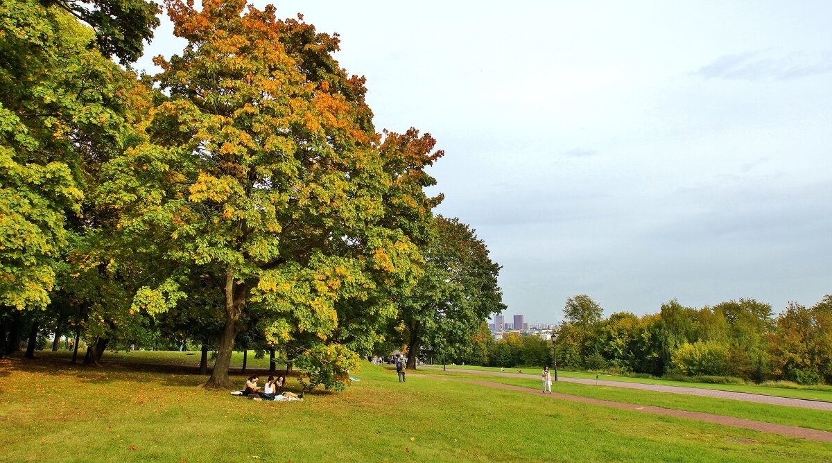 КОЛОМЕНСКОЕ - АЛЕКСАНДР 
