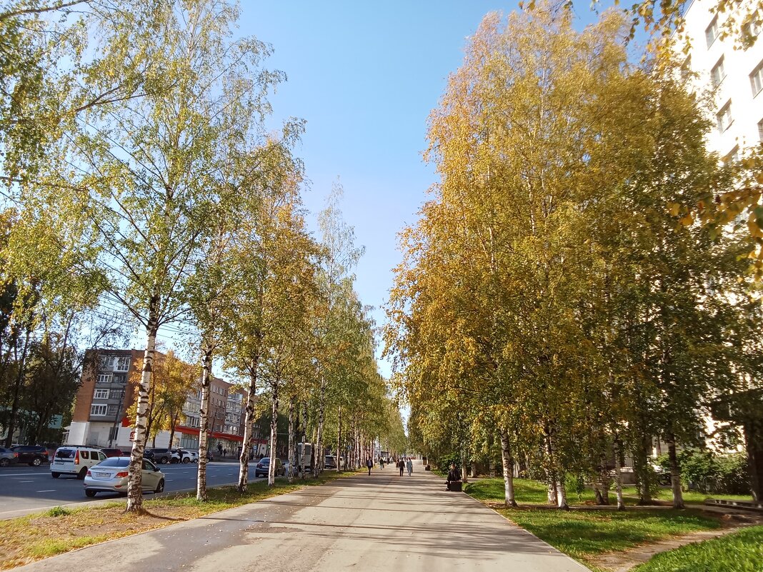 Осеннее утро - Виктор 