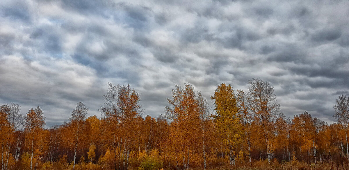 ... - Наталья 