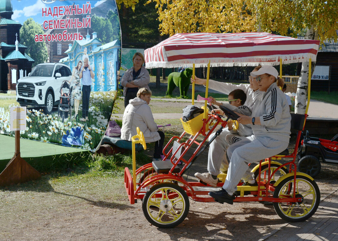 *** - Наталья Покацкая