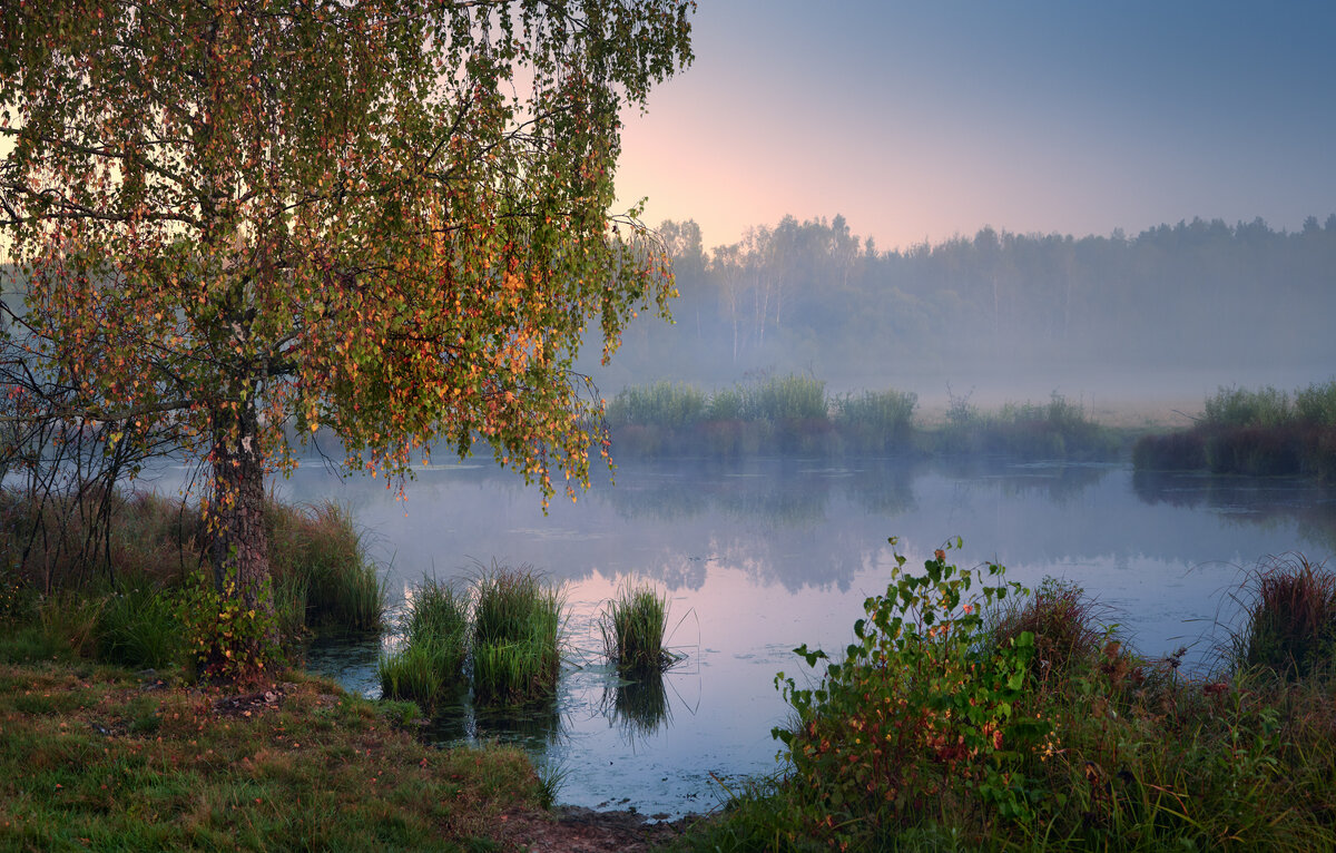 Позолотилась ... - Roman Lunin