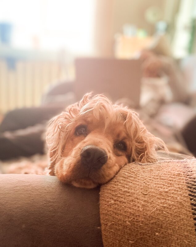 Мадам отдыхает - Павел Харлин