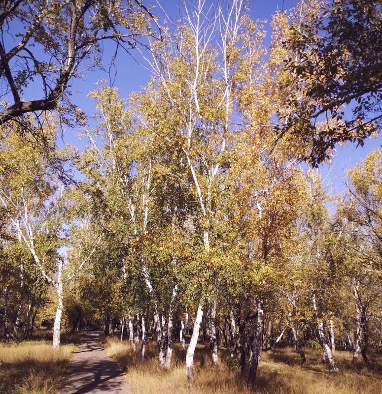 Золото осени - Георгиевич 
