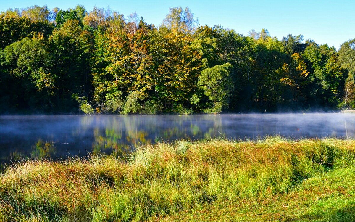 Про утренний туман. - Милешкин Владимир Алексеевич 