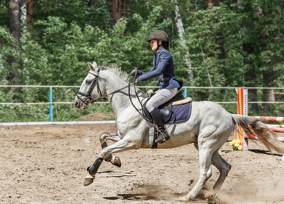 Конкур_ - SanSan 