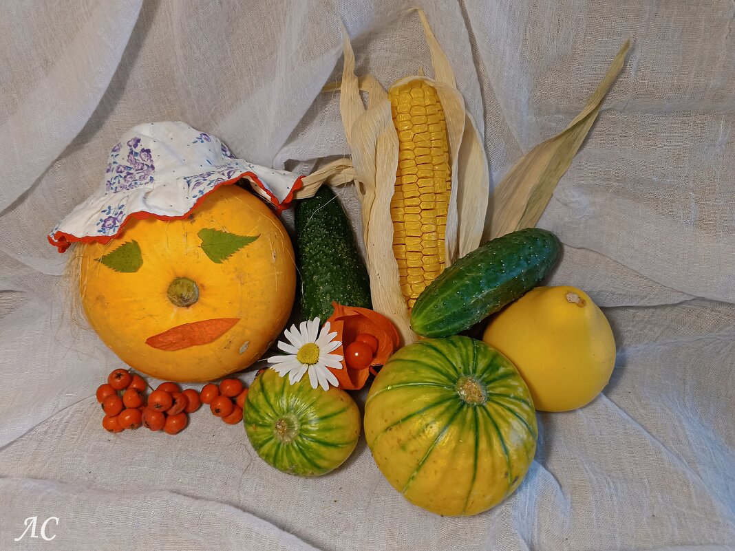 Тыква и её подданные - Любовь Сахарова