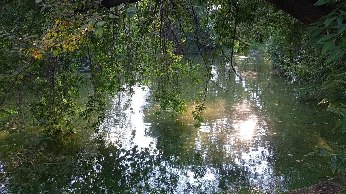 Харитоновский парк - Елена Шаламова
