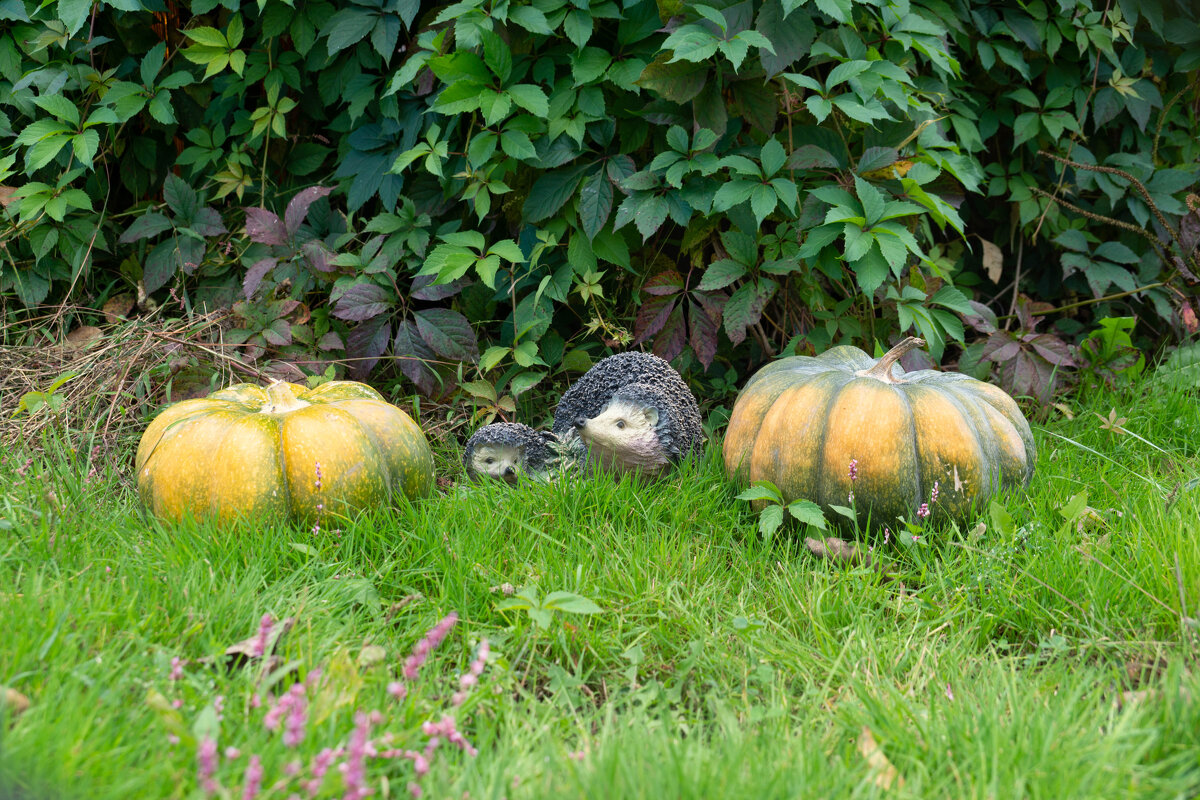 Осень на подходе - Анна Самара