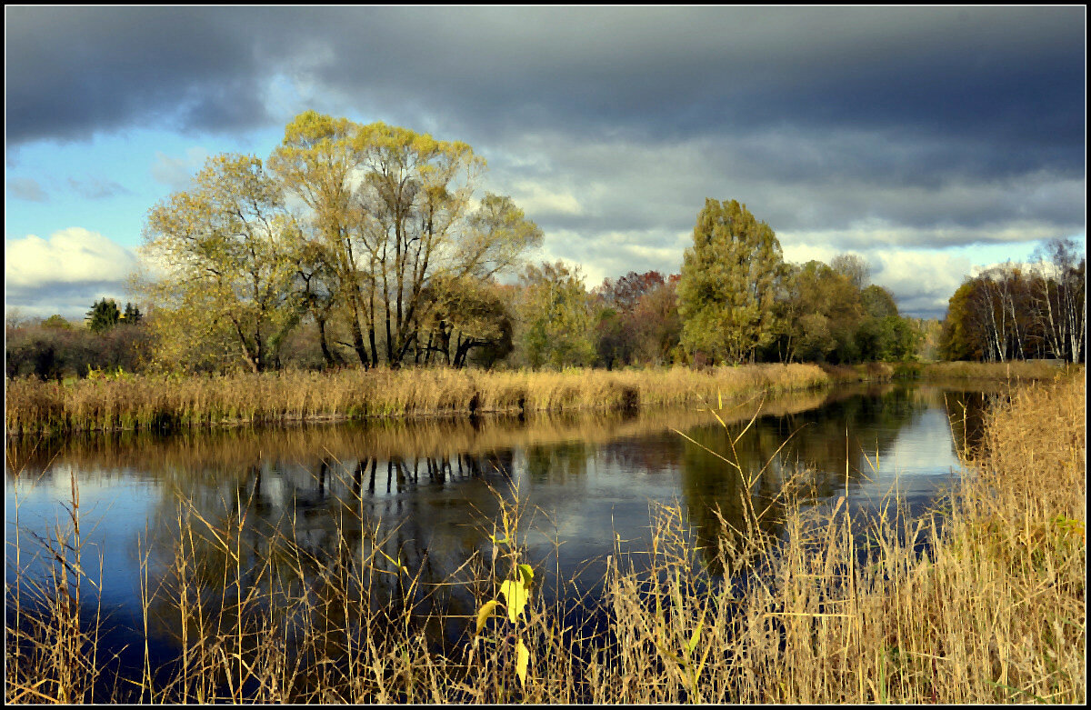 Золотая пора - Aleksandr Gal