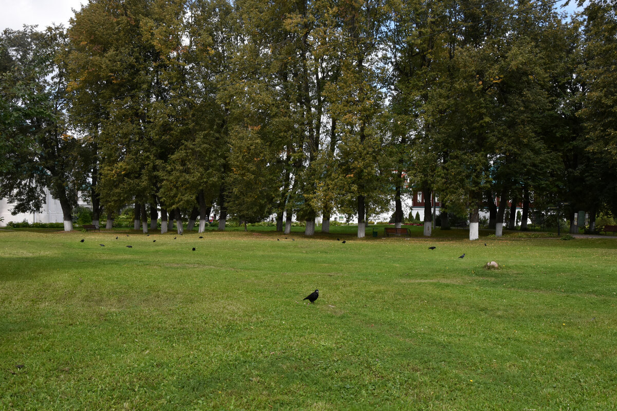 Владимирская область. Город Александров. Александровская слобода. - Наташа ***** Владимирская область. Город Александров. Александровская слобода. - Наташа *****