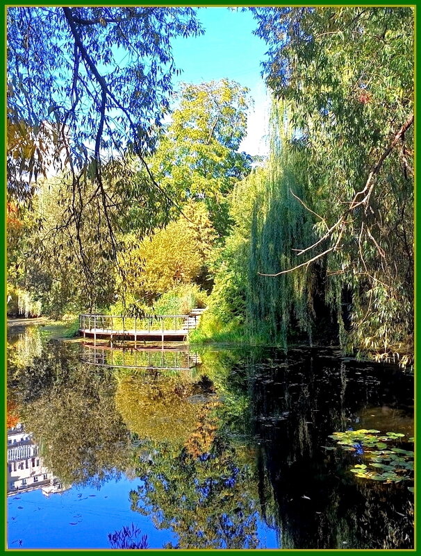 Осень царствует в природе. - Ольга Довженко