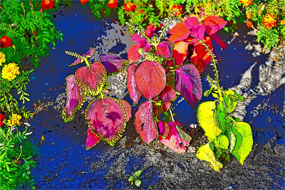 ОСЕНЬ - Юрий Владимирович 34 ОСЕНЬ - Юрий Владимирович 34