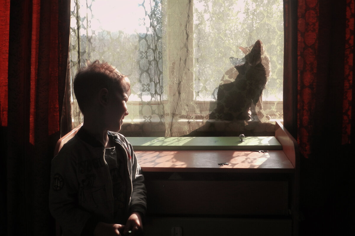 друзья кот Вася и Лев - Лера 