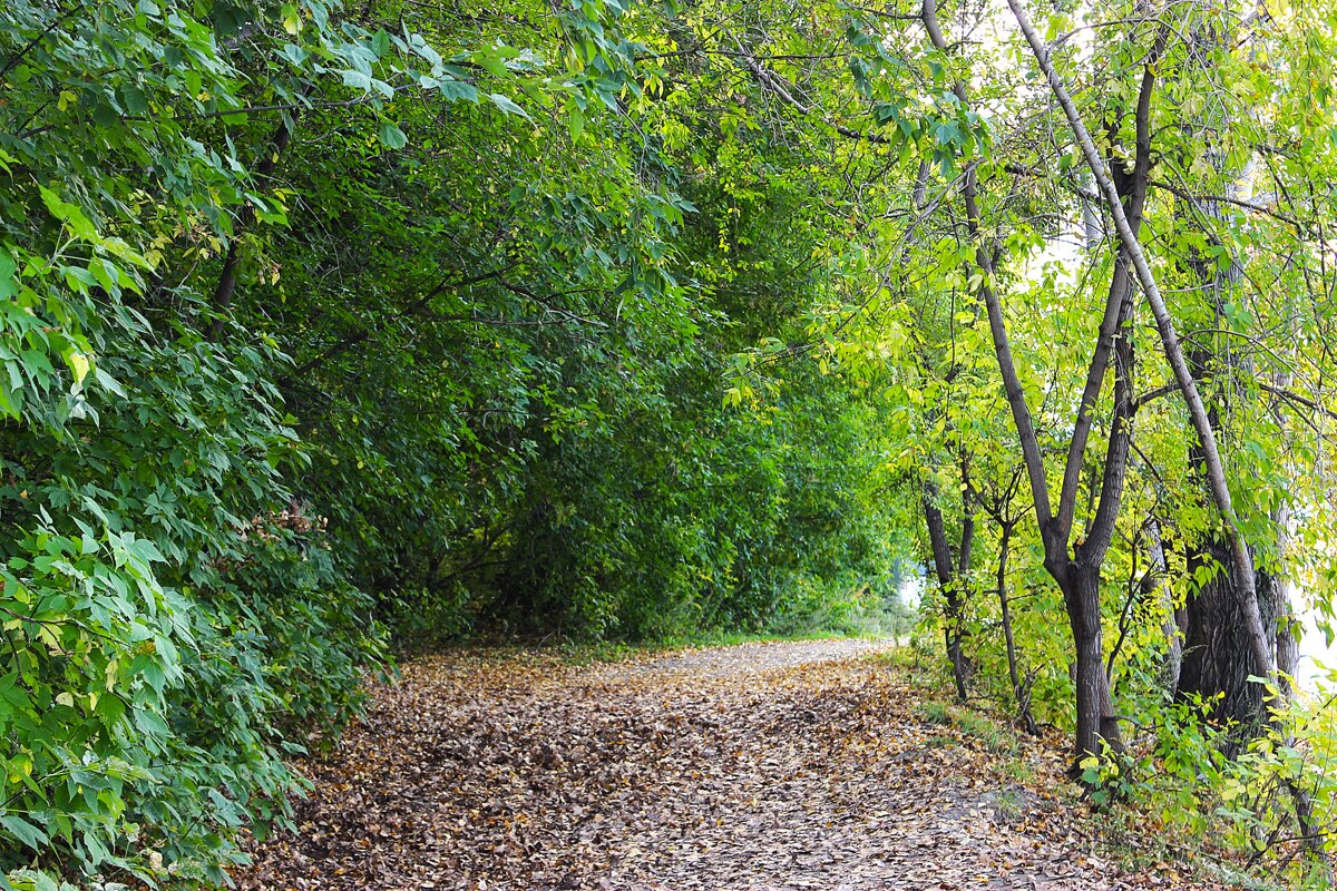 Осень.. - Василий 