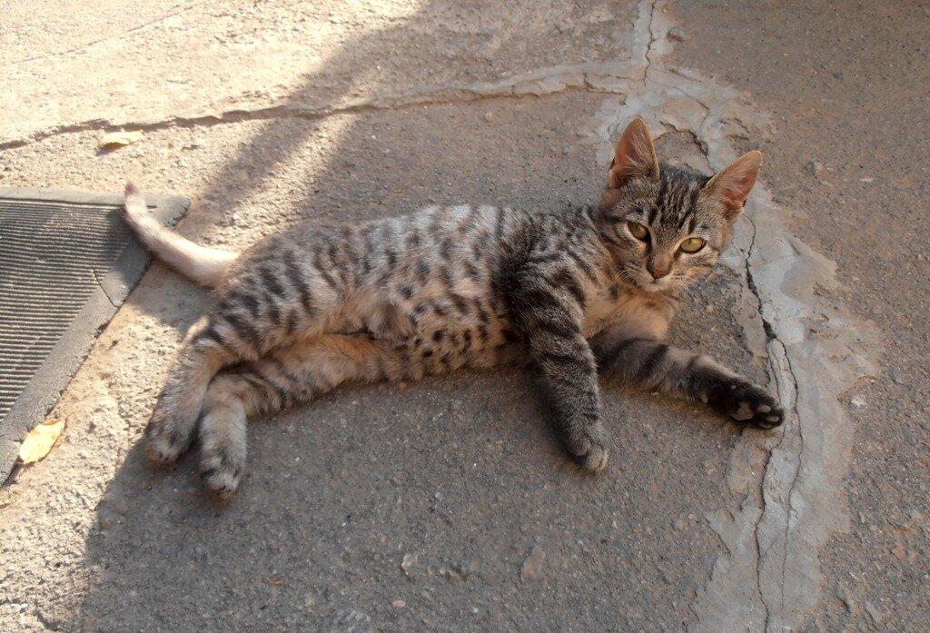 Марыся отдыхает - Наталья 