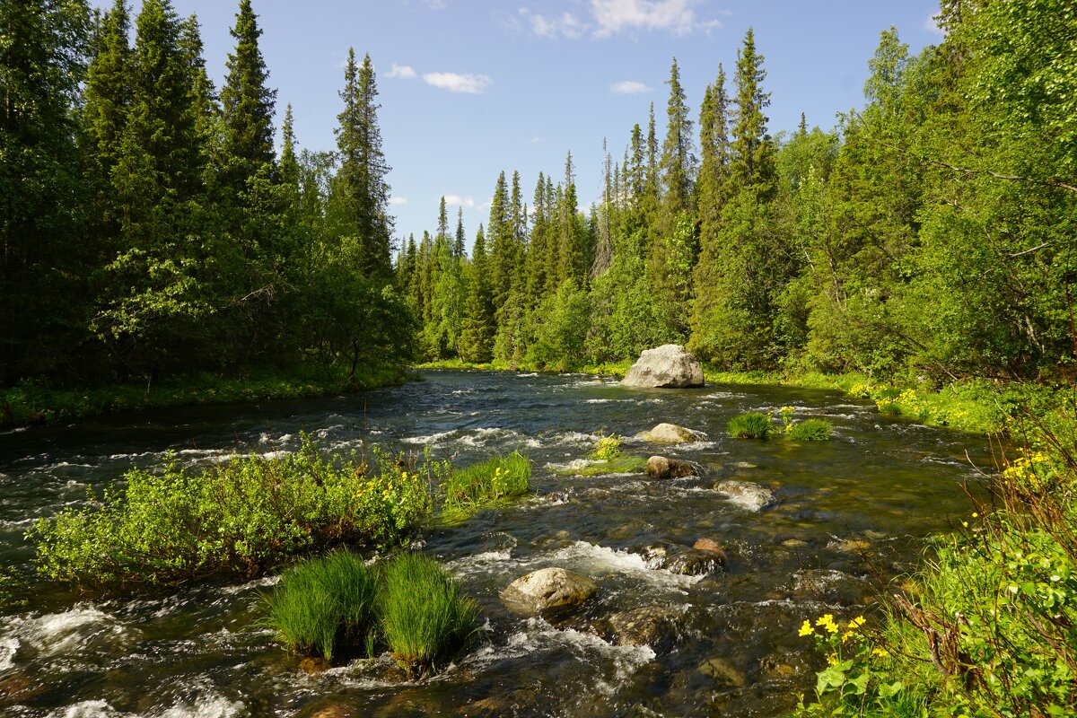 По пути на Сейдозеро - Ольга Чистякова
