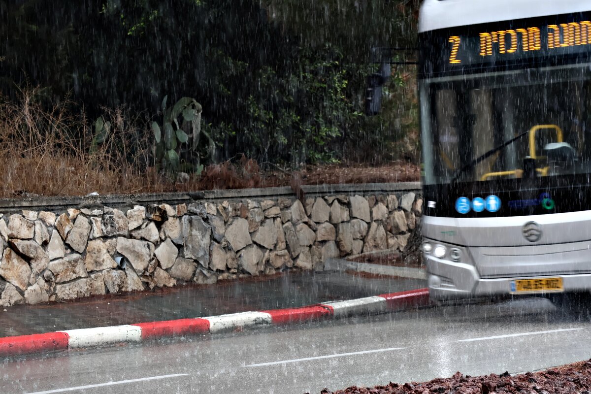 Дождь - Аркадий Басович