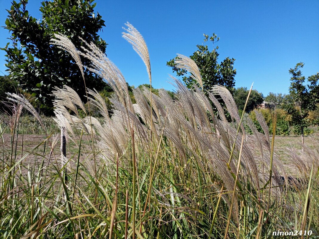 В ростовском экопарке Первая миля - Нина Бутко В ростовском экопарке Первая миля - Нина Бутко